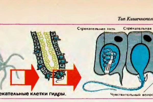 Ссылка на кракен