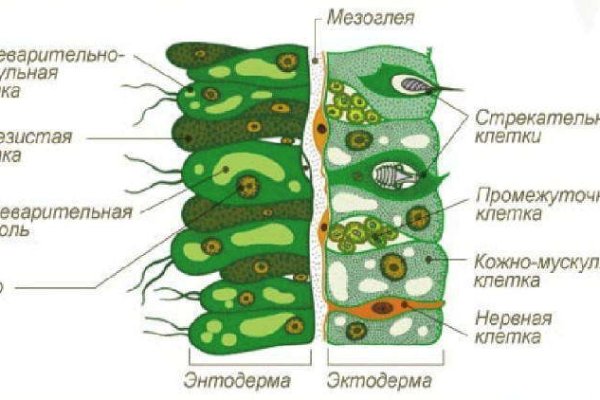 Кракен са