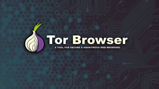 Darknet как войти